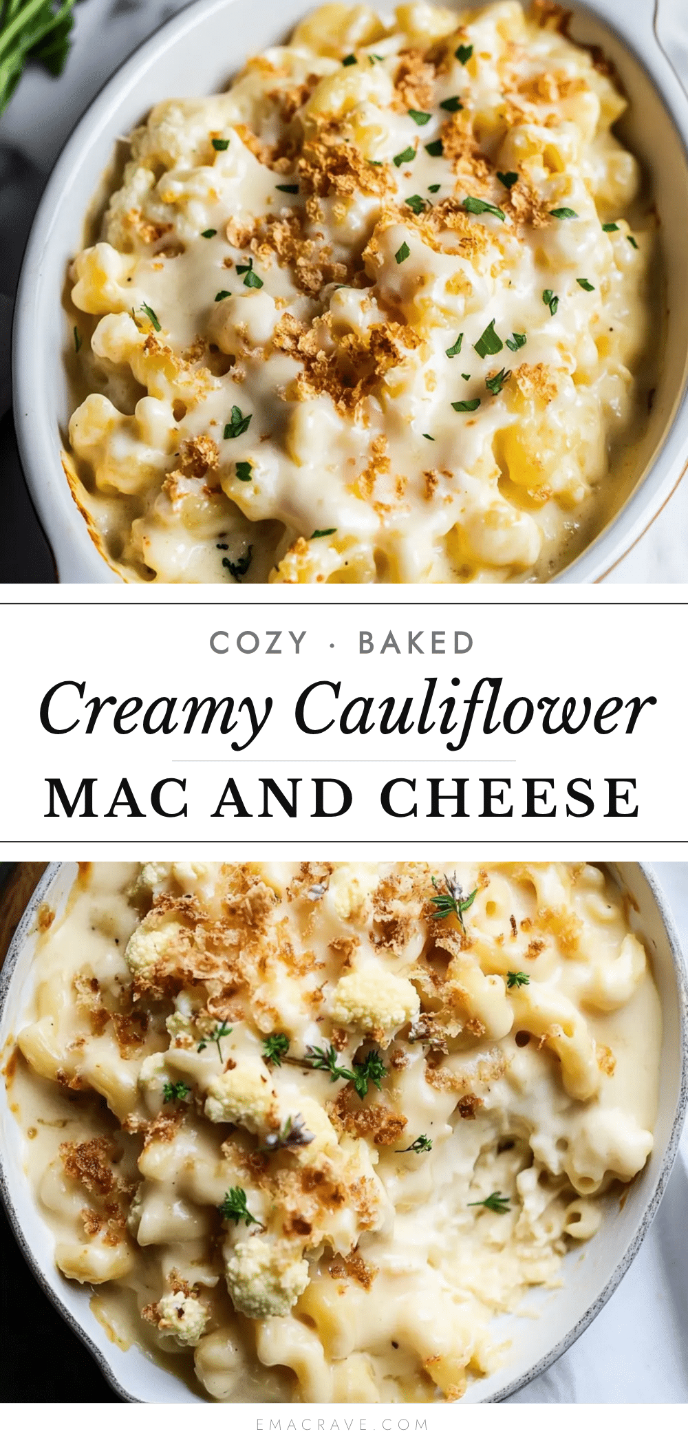 creamy cauliflower mac and cheese recipe