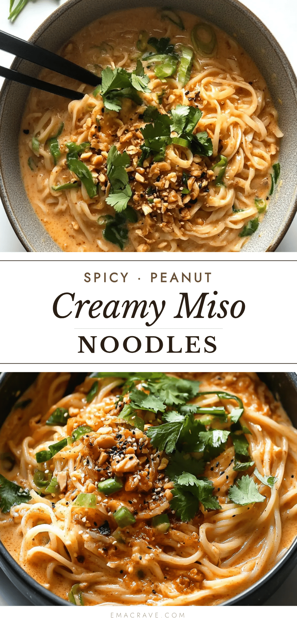 creamy peanut butter spicy miso noodles recipe