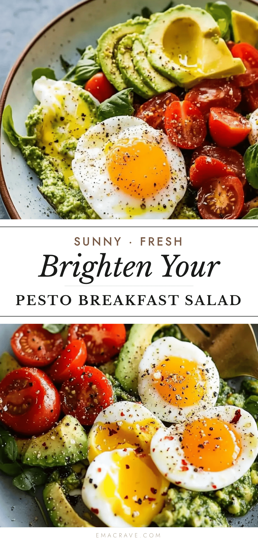pesto tomato egg avocado breakfast salad recipe