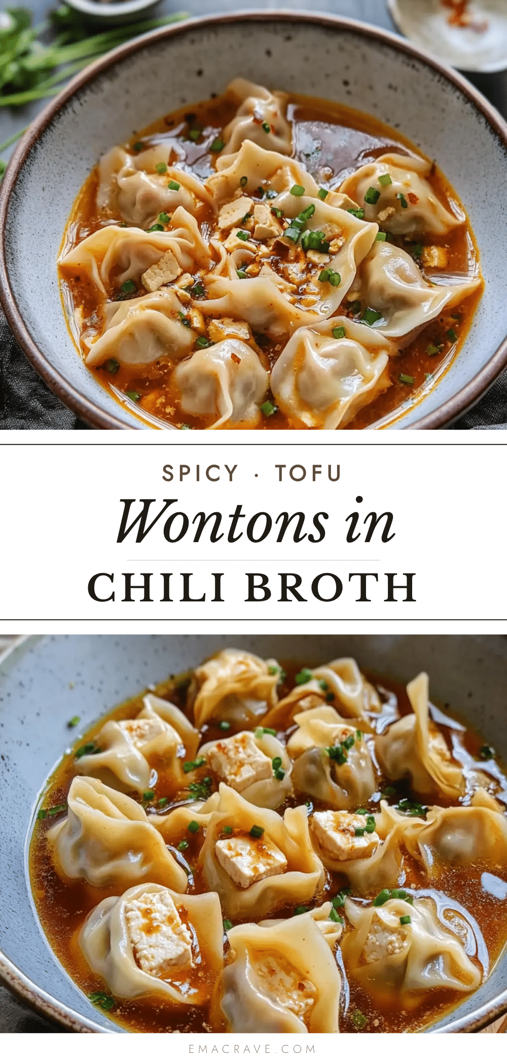 spicy tofu wontons in chili broth recipe