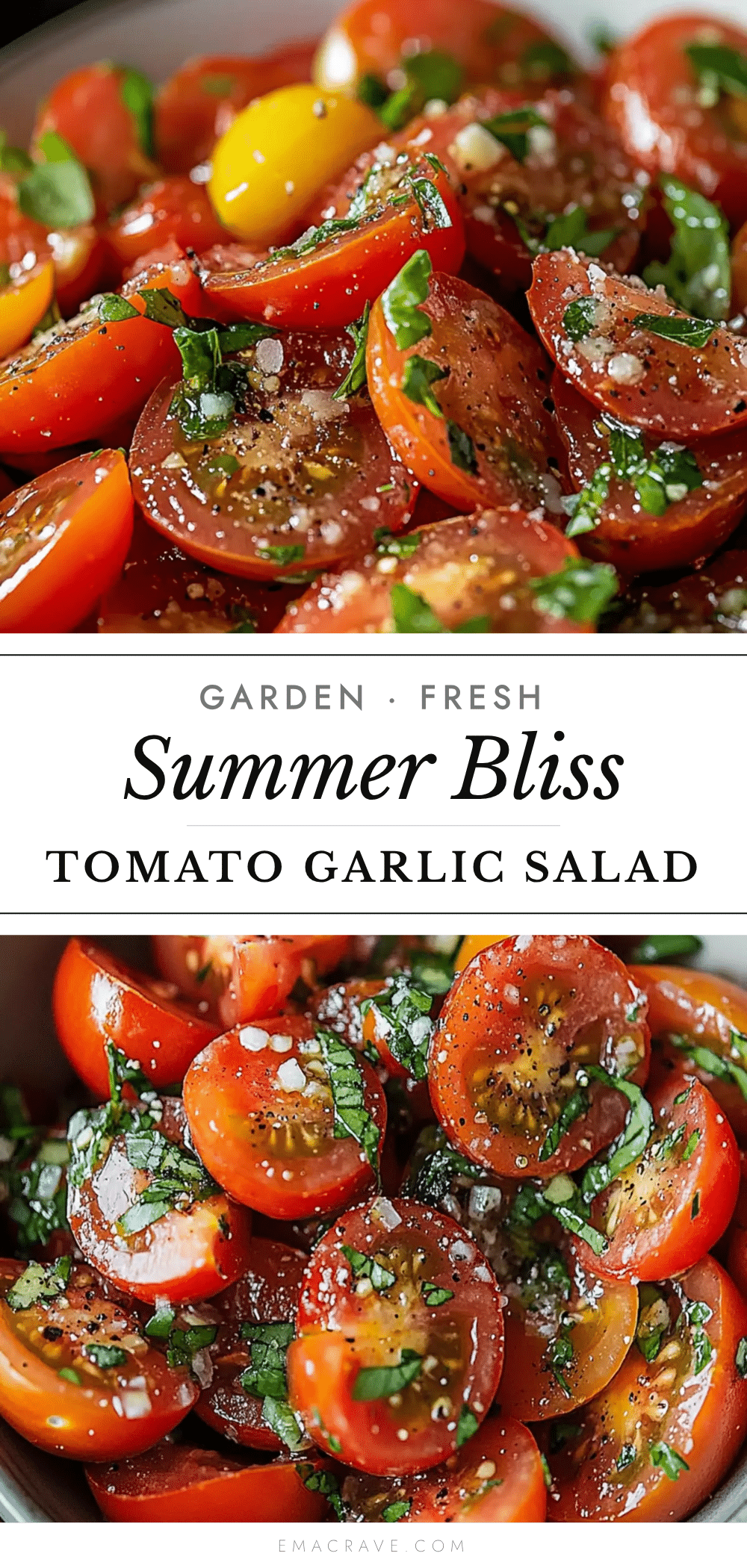 tomato garlic salad recipe
