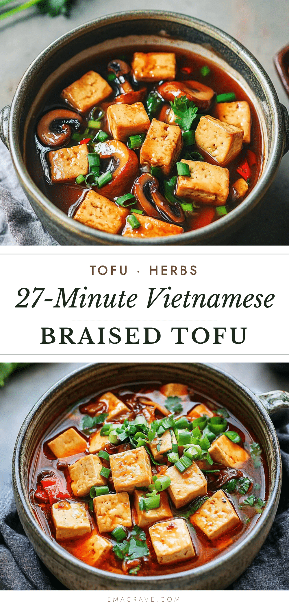 Vietnamese braised tofu recipe