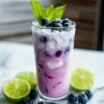 blueberry coconut cooler mocktail - featured image