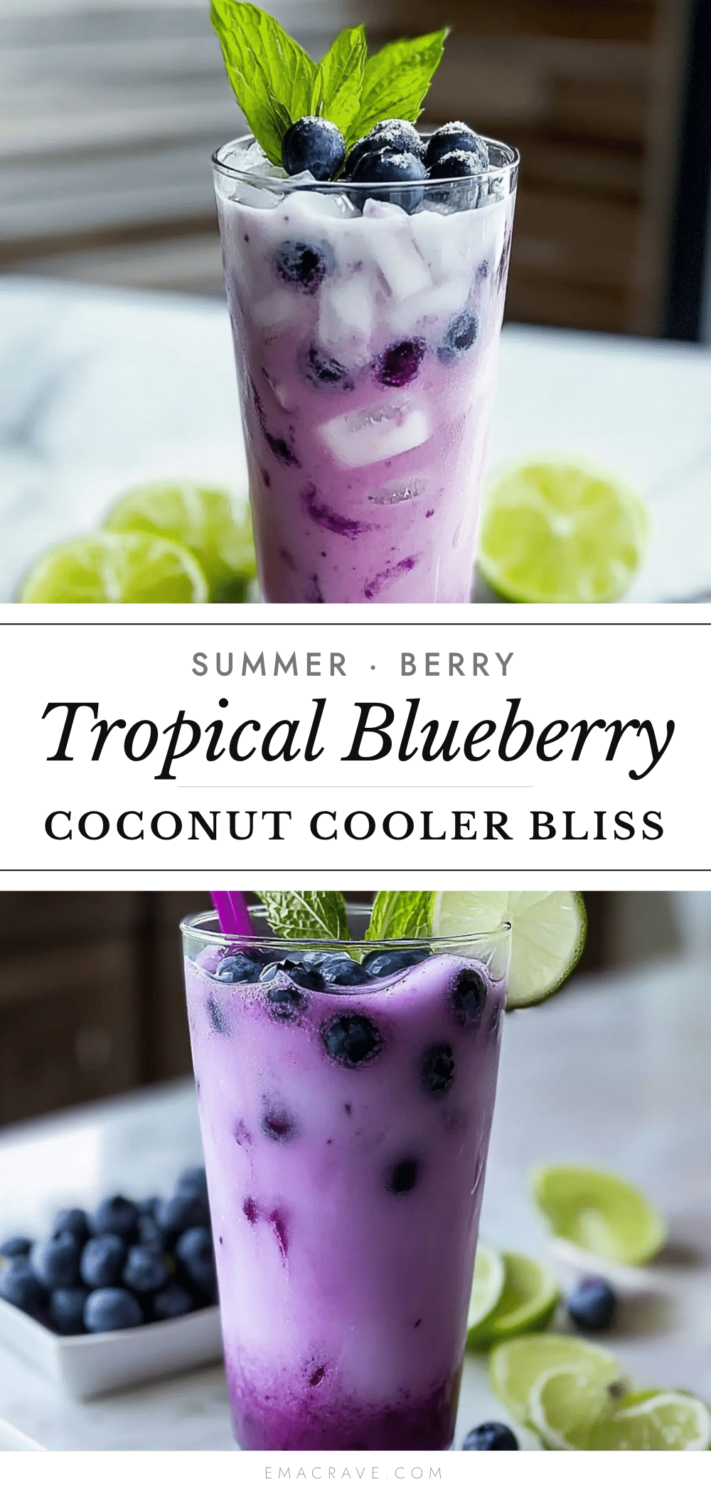 blueberry coconut cooler mocktail recipe