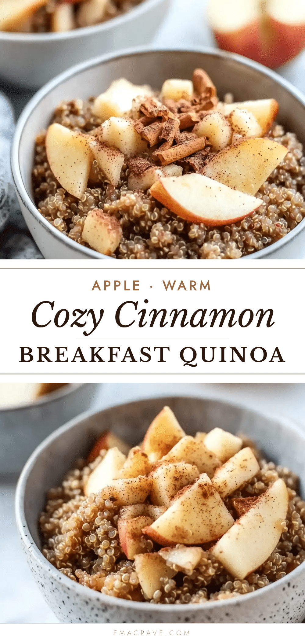 cinnamon apple breakfast quinoa recipe