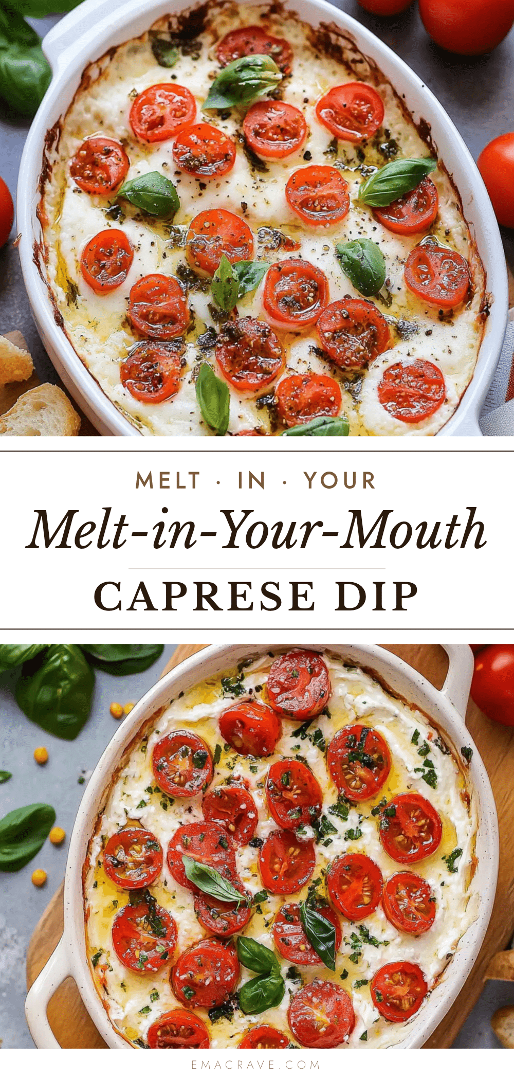creamy caprese dip with melted mozzarella recipe