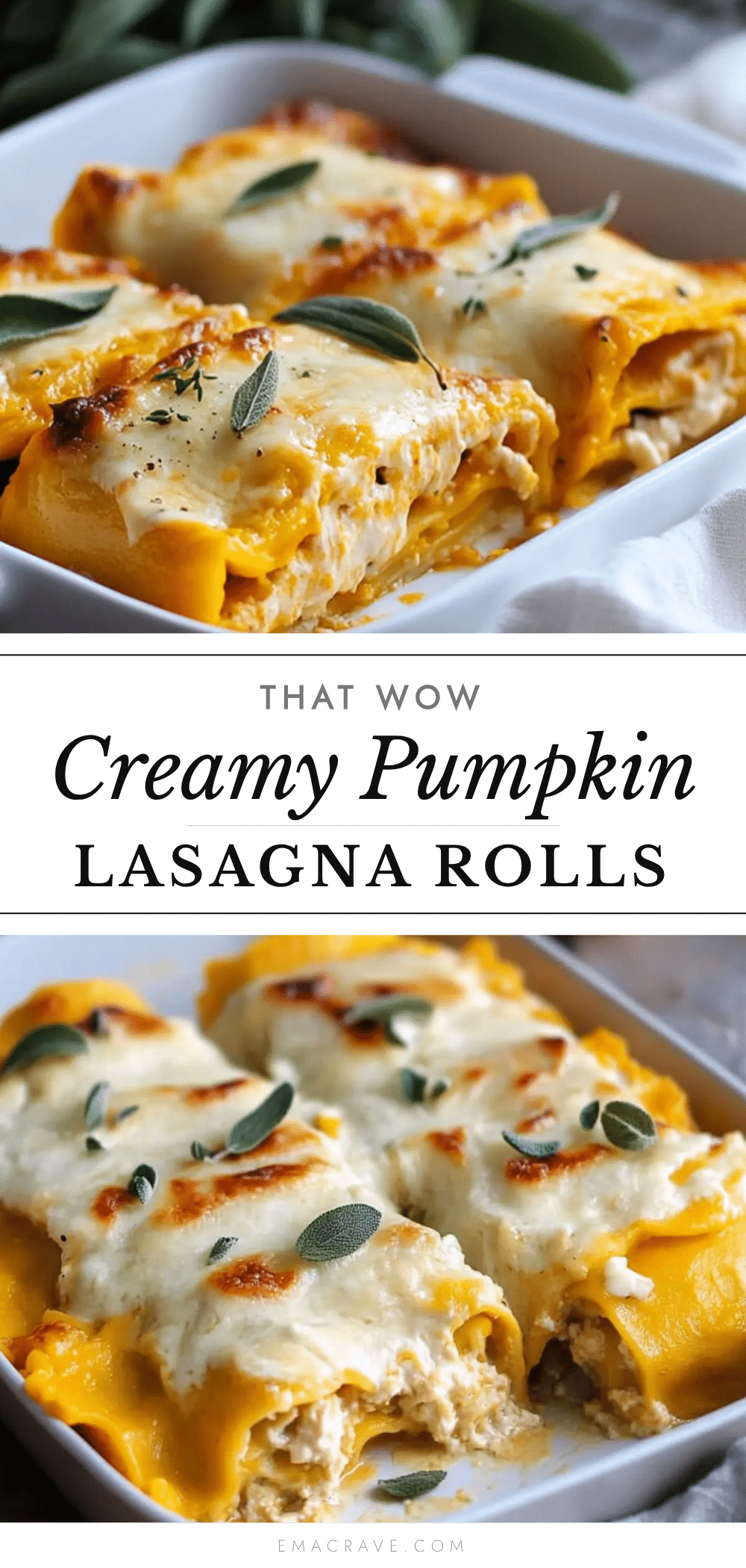creamy pumpkin lasagna rolls recipe