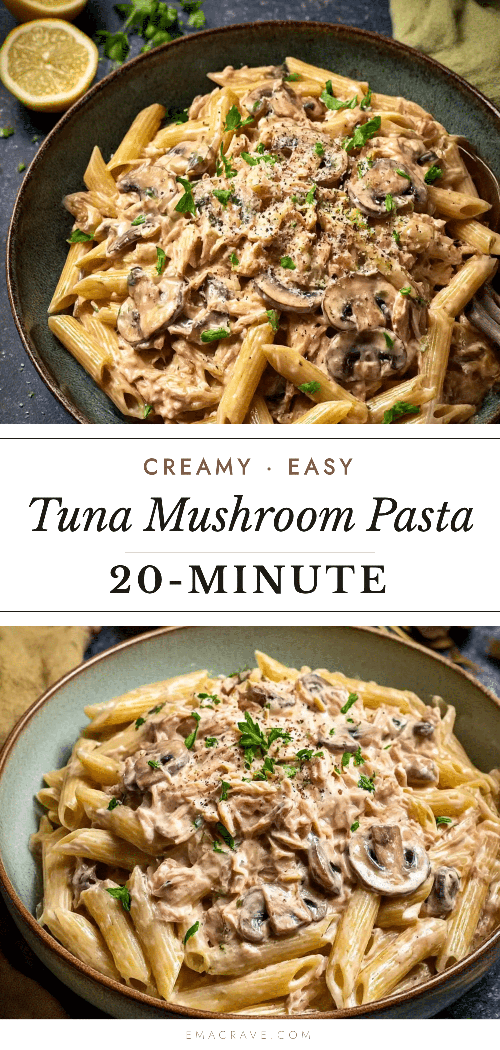 creamy tuna and mushroom pasta recipe