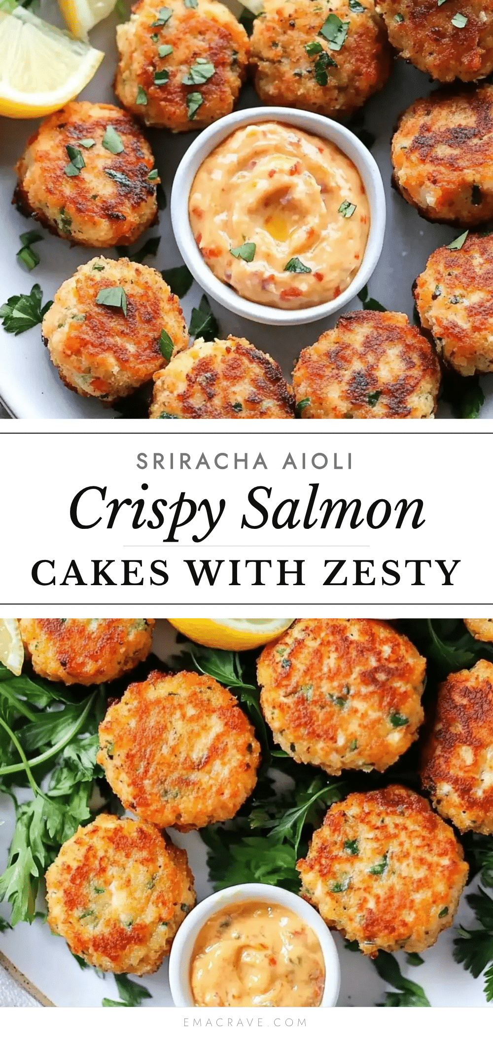 crispy mini salmon cakes recipe