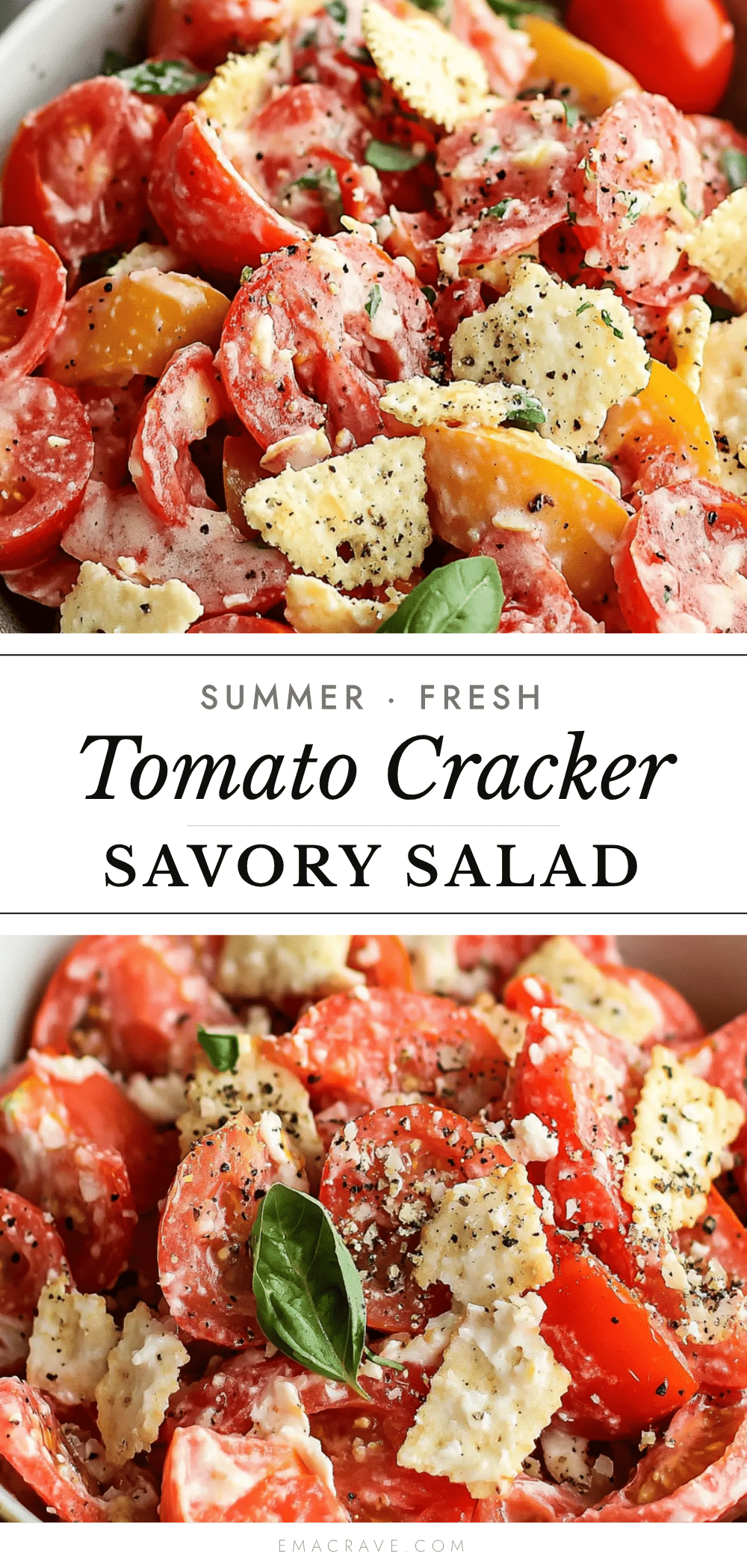 fresh savory tomato cracker salad recipe