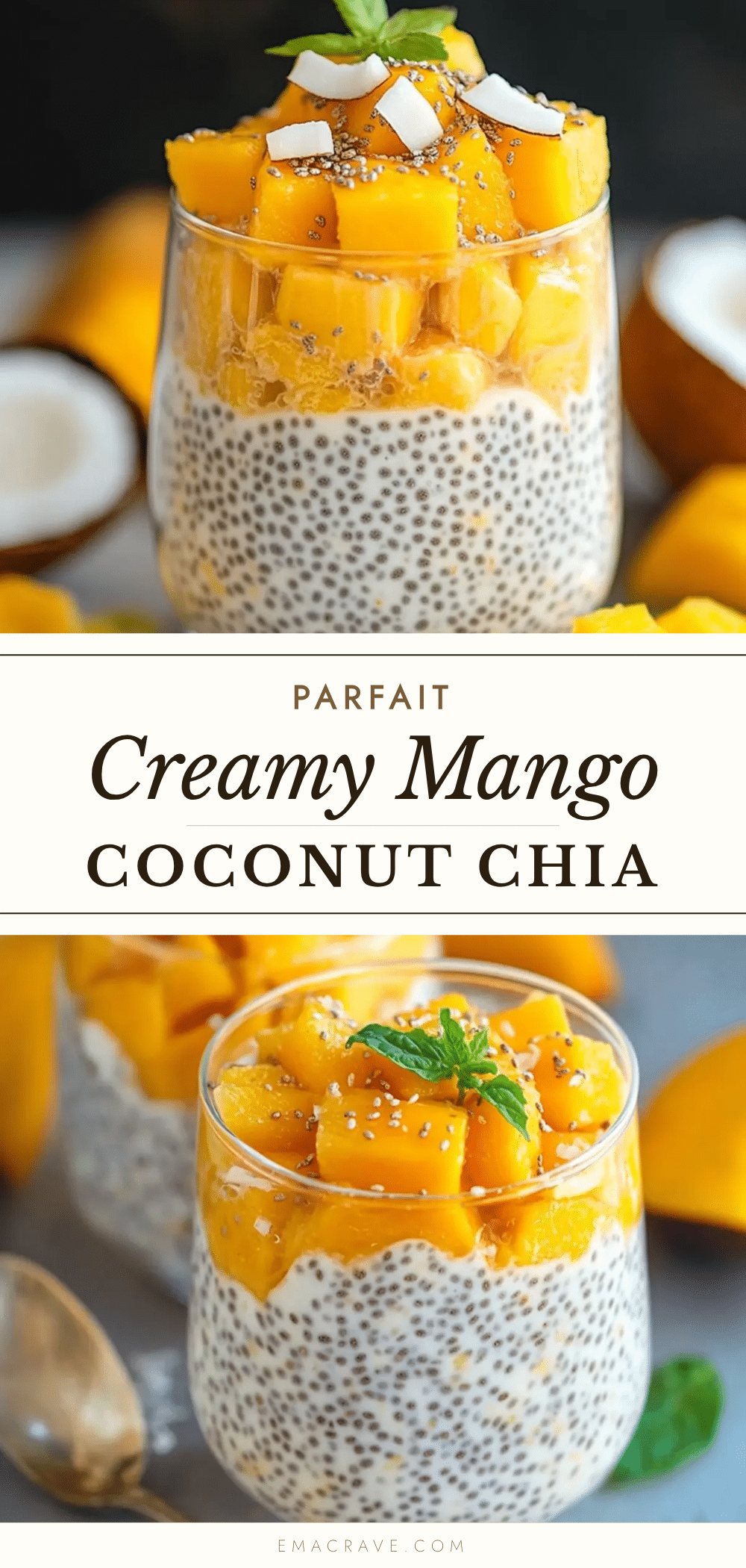 mango coconut chia parfait recipe