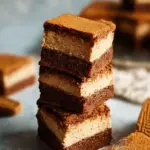vegan biscoff brownies - featured image