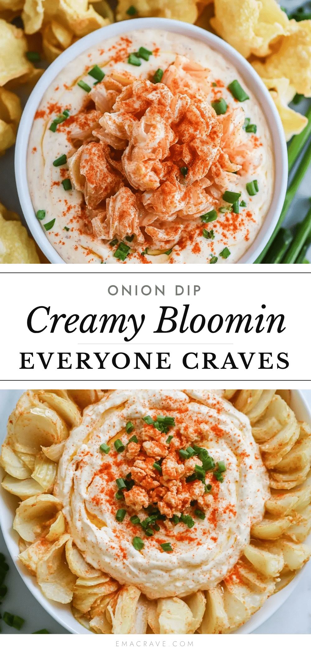 best bloomin onion dip recipe for parties recipe