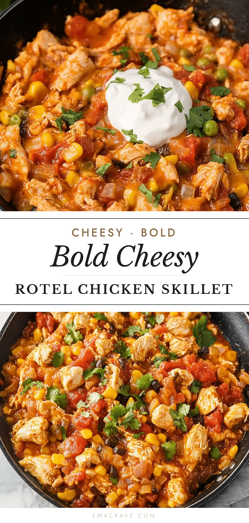 Bold Rotel Southwest Chicken Skillet recipe