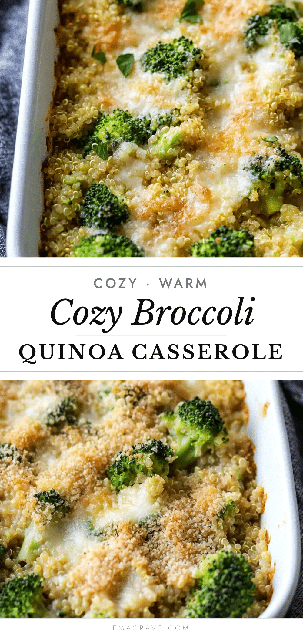 broccoli quinoa casserole recipe
