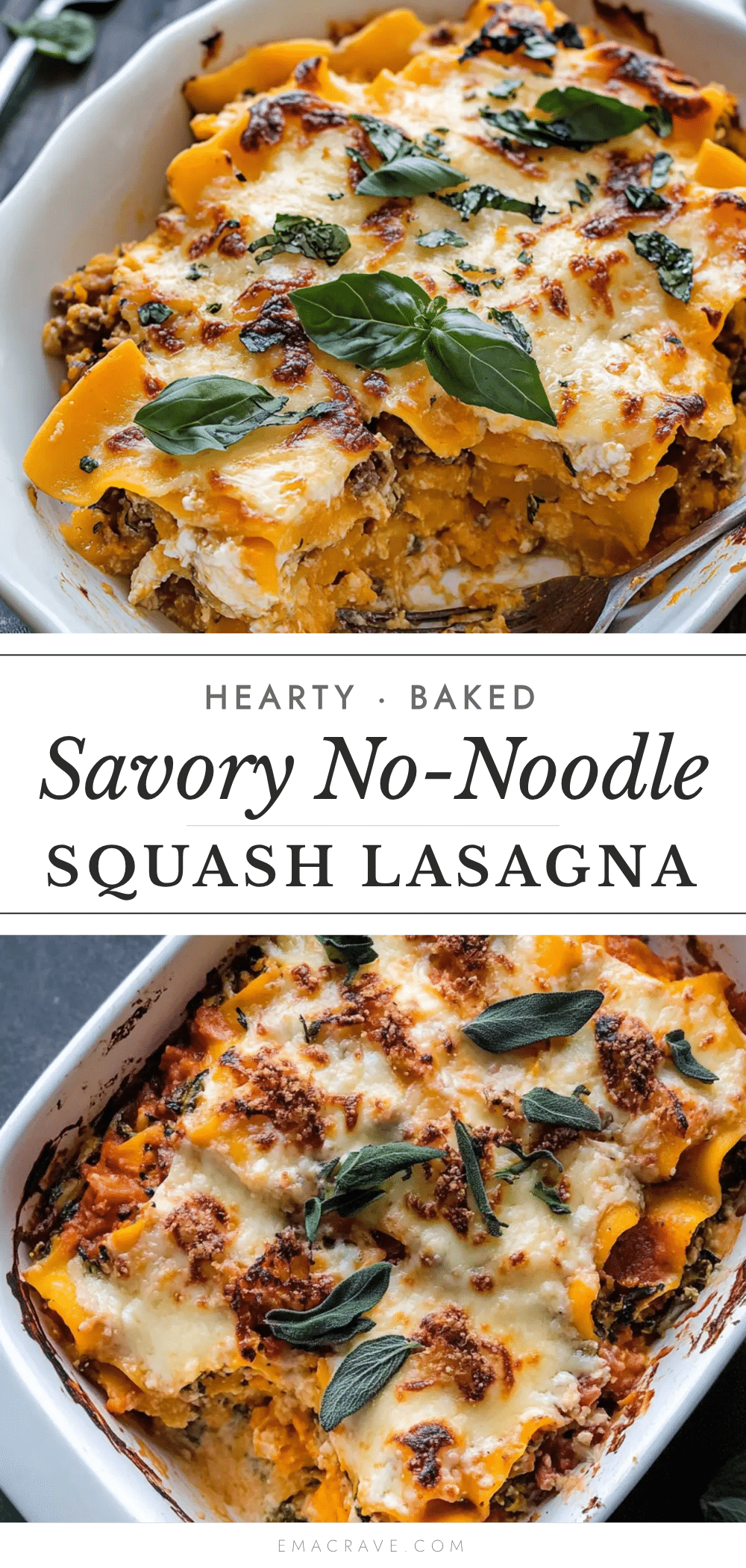 butternut squash lasagna recipe