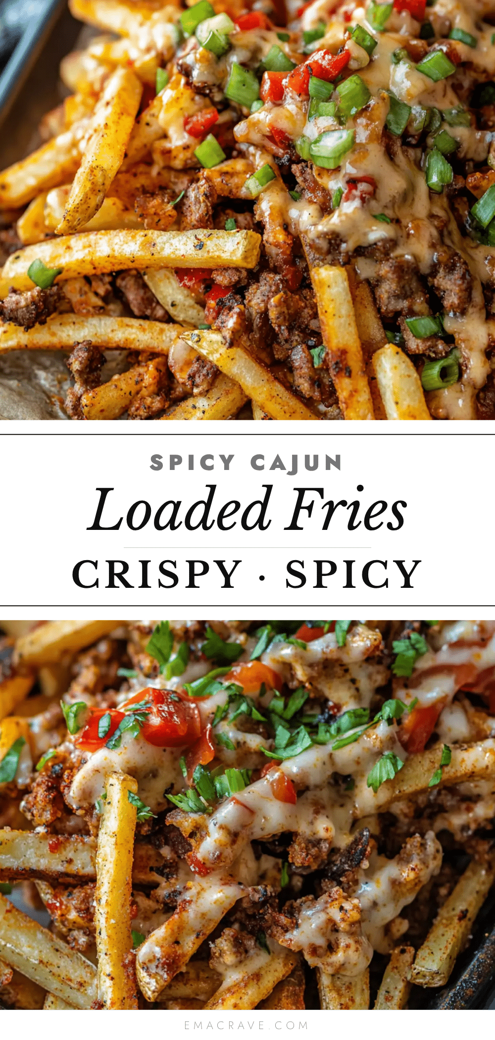 cajun dirty loaded fries recipe