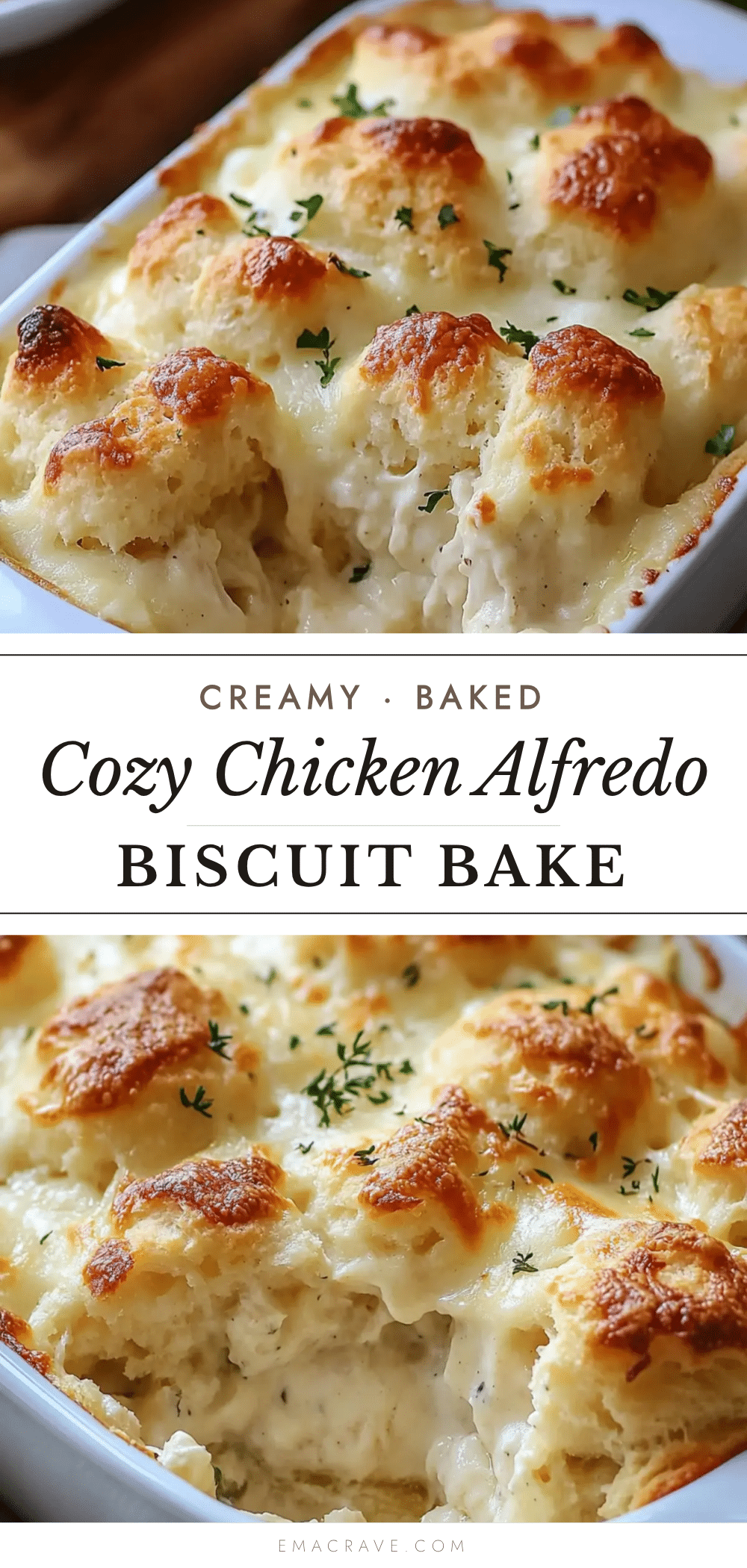chicken alfredo biscuit bake recipe
