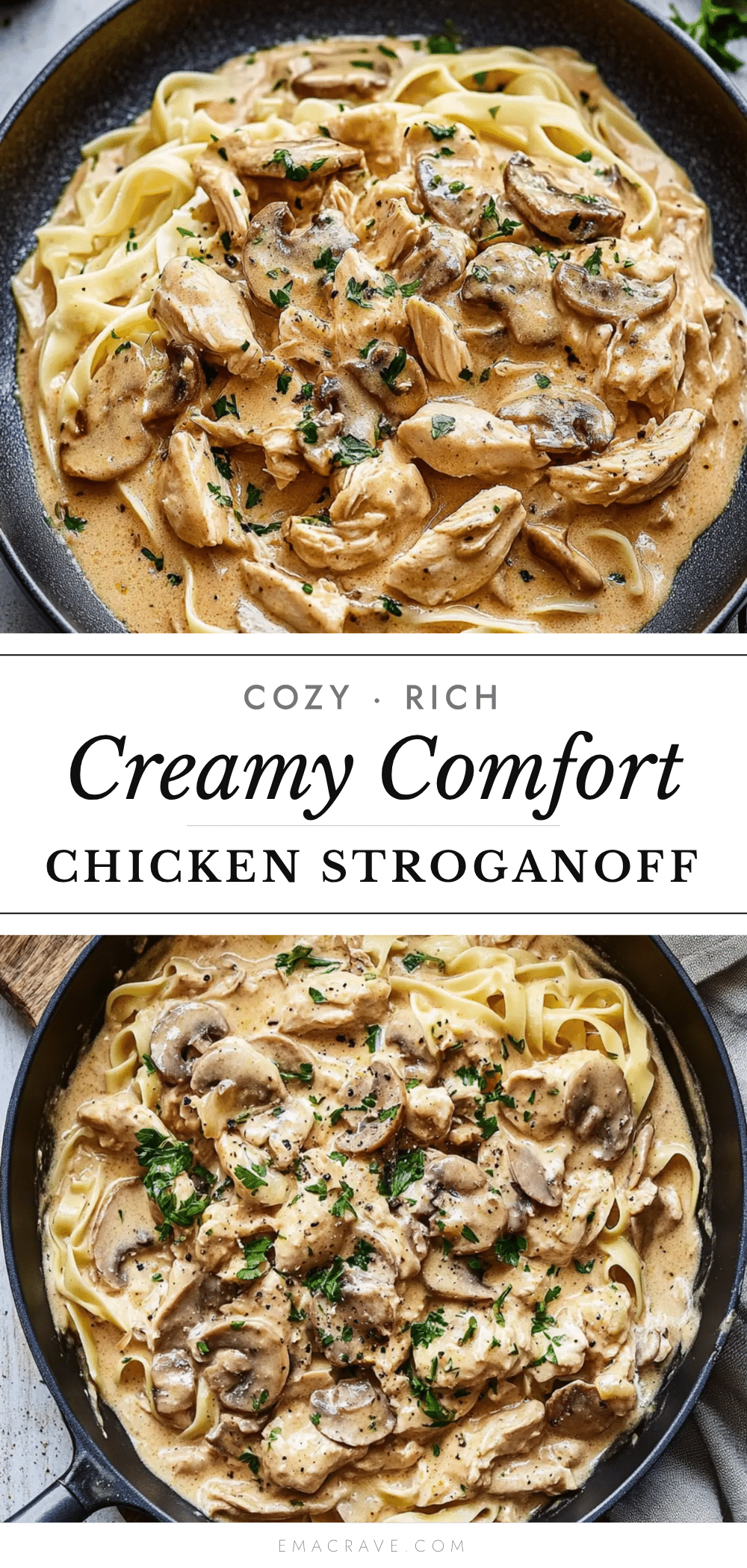 chicken stroganoff recipe