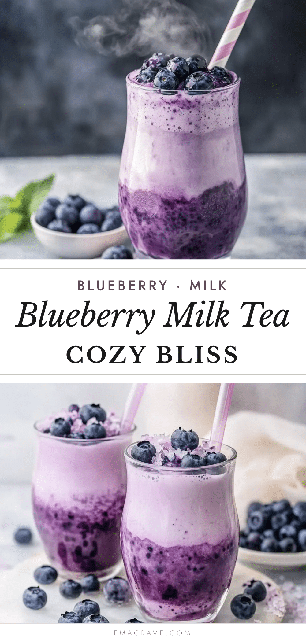 cozy blueberry milk tea recipe recipe