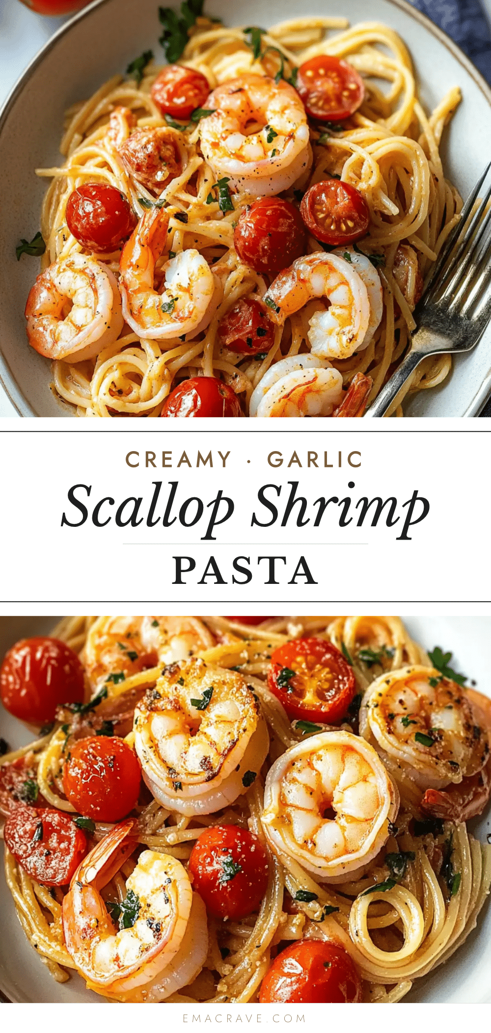 creamy garlic scallop shrimp pasta recipe