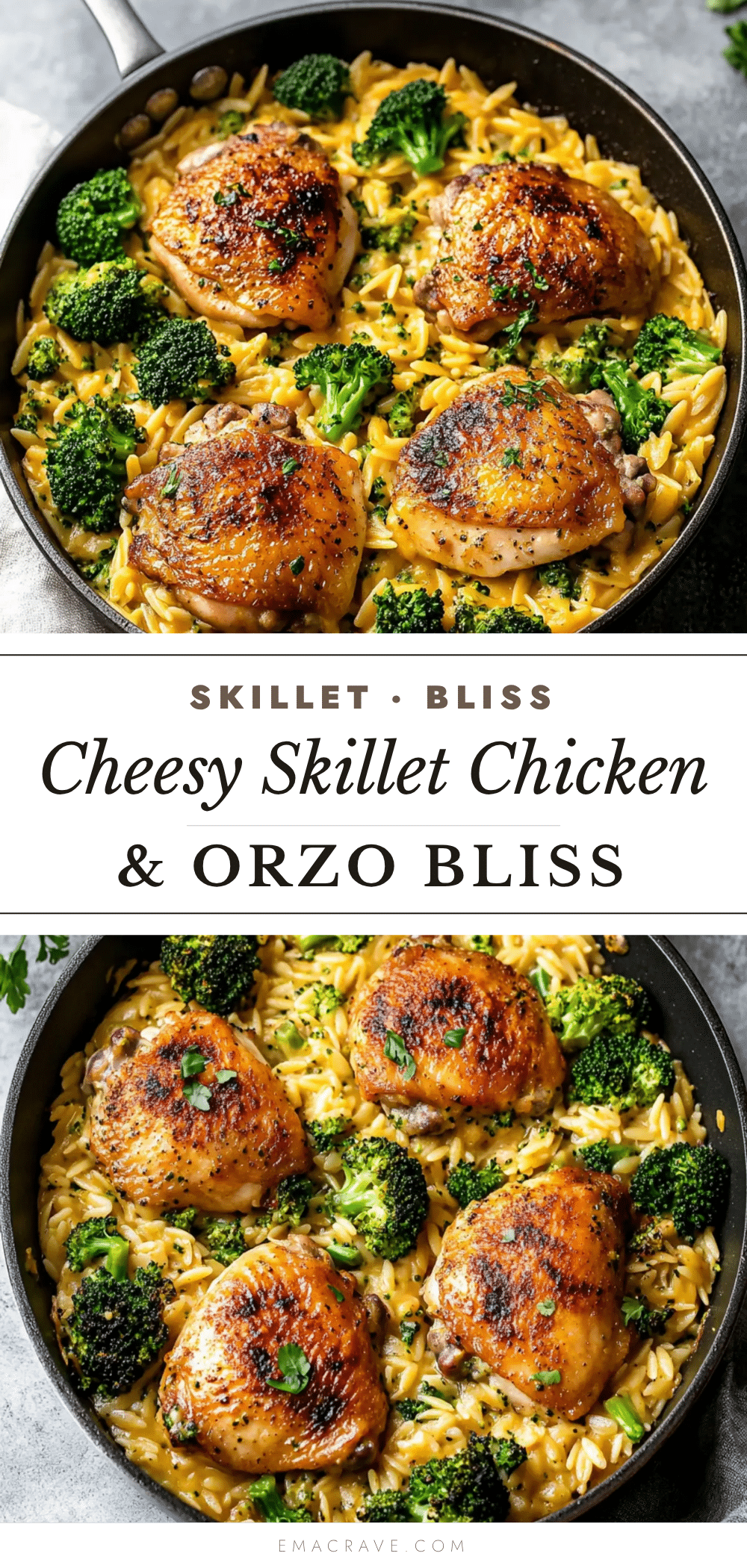 creamy skillet chicken thighs broccoli cheddar orzo recipe