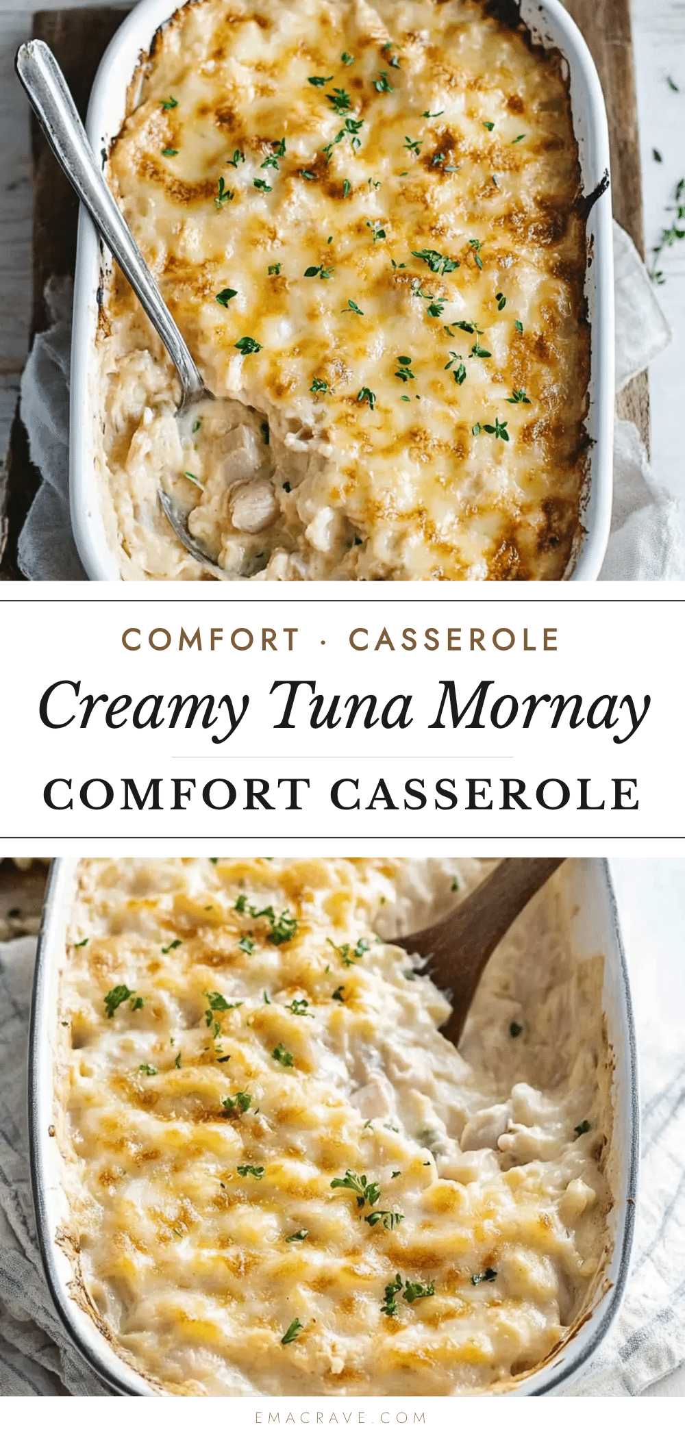 creamy tuna mornay casserole recipe