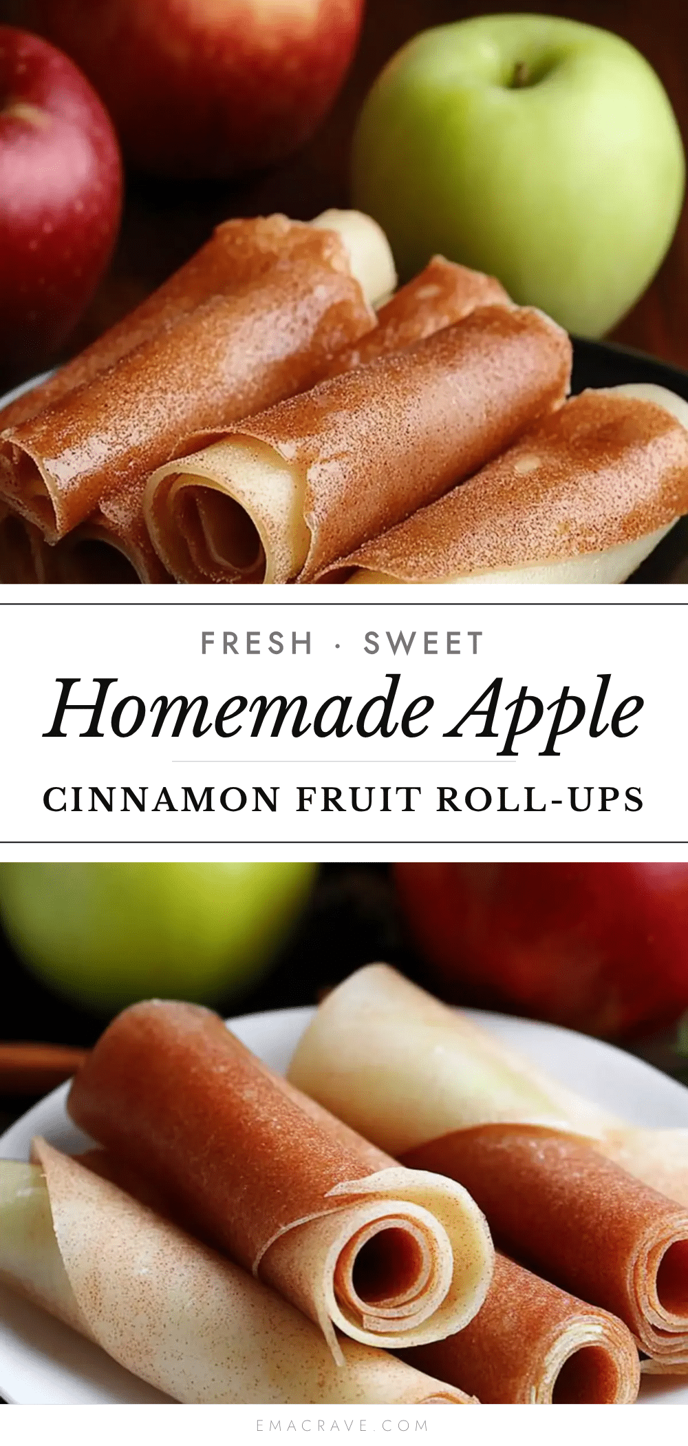 homemade apple cinnamon fruit roll-ups recipe