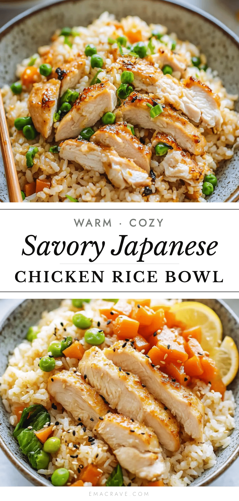 japanese seasoned rice with chicken recipe