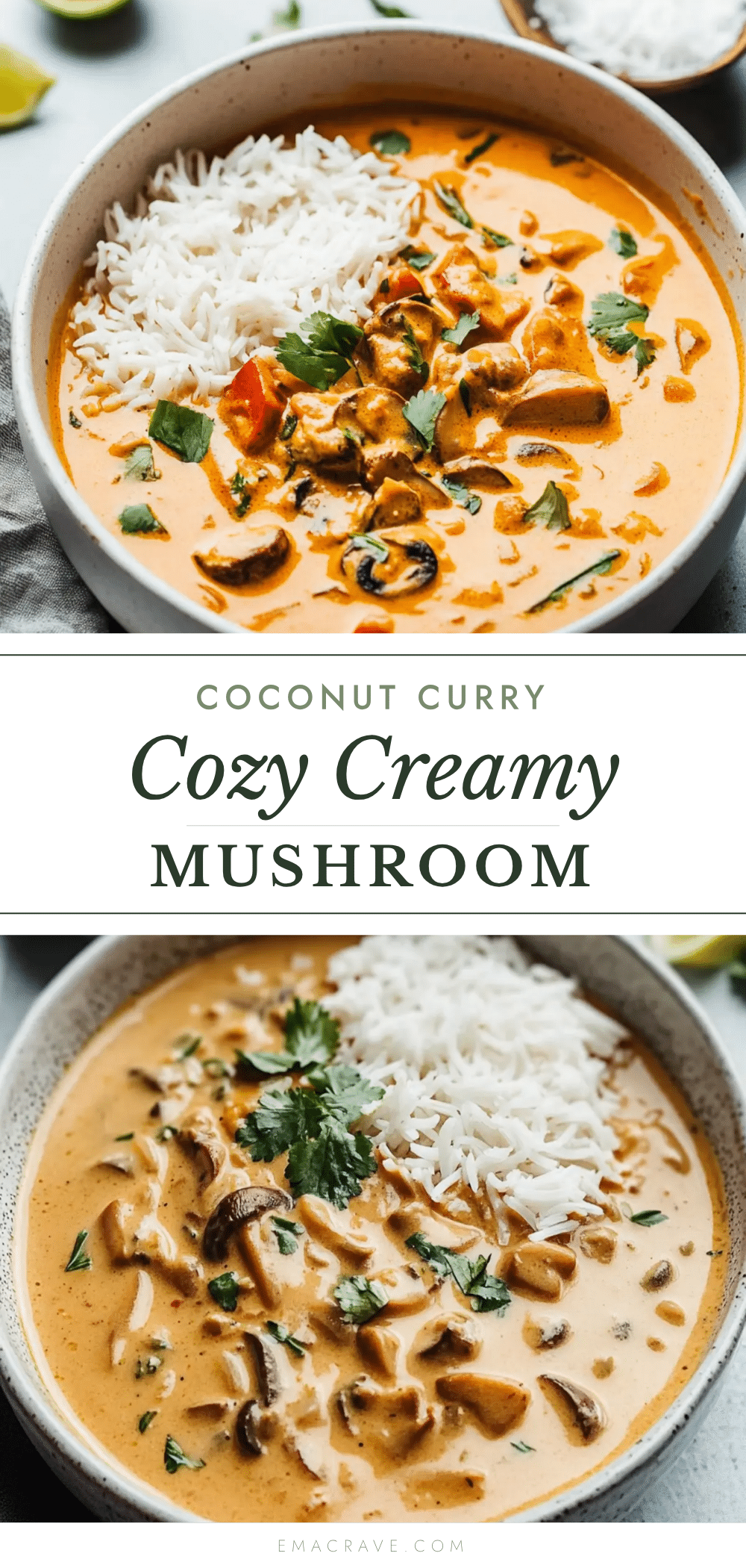 mushroom coconut curry recipe