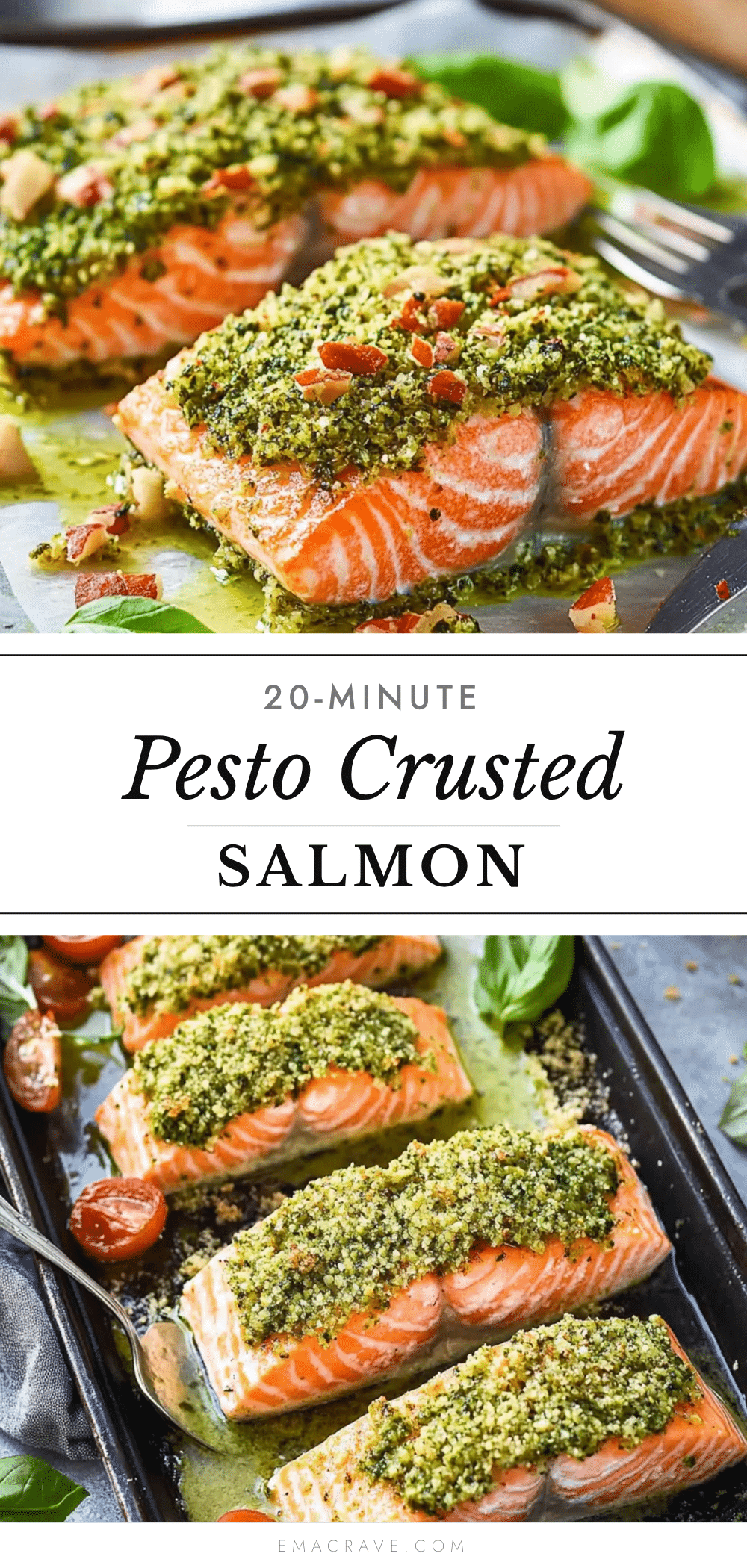 pesto crusted salmon recipe