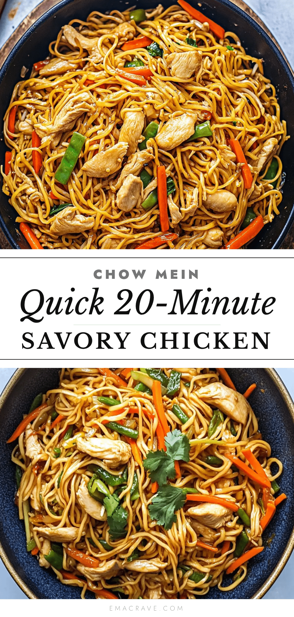 quick savory chicken chow mein recipe