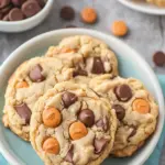 Reese’s Peanut Butter Pudding Cookies - featured image